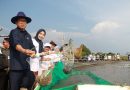Panen Udang Vaname, Bupati Ratu Zakiyah Dorong Desa Domas jadi Kampung Nelayan Merah Putih