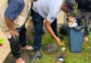 Warga Bukit Nusa Indah Ciputat Tangsel Bangun Ratusan Biopori, Sampah Organik Diolah dari Rumah