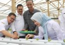 Panen Perdana Selada Hidroponik, Ratu Zakiyah jadikan BUMDes Cibojong Padarincang Pilot Project