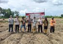 Dukung Program Ketahanan Pangan Polsek Kragilan Tanam Jagung di Lahan Seluas Dua Hektar di Desa Dukuh