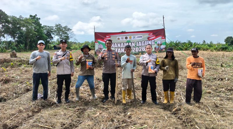 Dukung Program Ketahanan Pangan Polsek Kragilan Tanam Jagung di Lahan Seluas Dua Hektar di Desa Dukuh