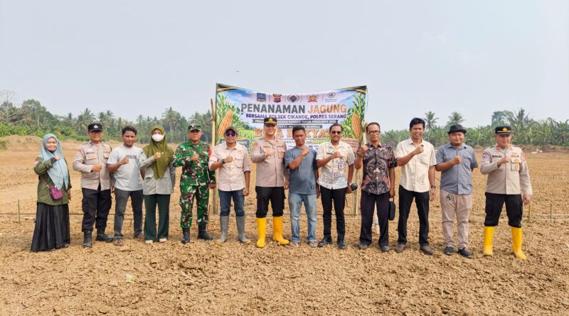 Wujudkan Swasembada Pangan, Sinergi Polsek Cikande, Muspika, dan BUMDes Bina Rakyat Gelar Tanam Jagung di Cijeruk