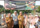 Benyamin Sambut Panen Perdana Bawang Merah Varietas Batu di Tangsel, Hasil Uji Coba Pupuk Bio-Organik Tuai Hasil Positif