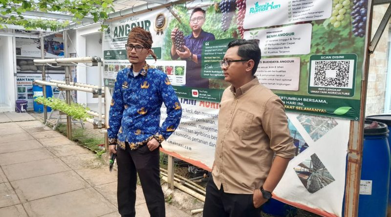 Pekarangan Disulap Jadi Pertanian