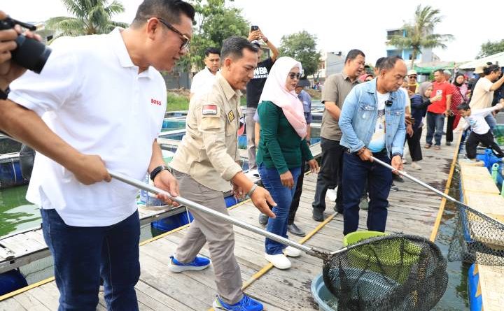 Panen Raya Kampung Wisata Keramba 22 Kota Tangerang Capai 200 Kilogram