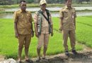Tingkatkan Ketahanan Pangan, DPKP Kabupaten Tangerang Uji Coba Tanam Padi Sistem Tabela di Desa Klebet